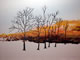 Landscape: Trees in Winter